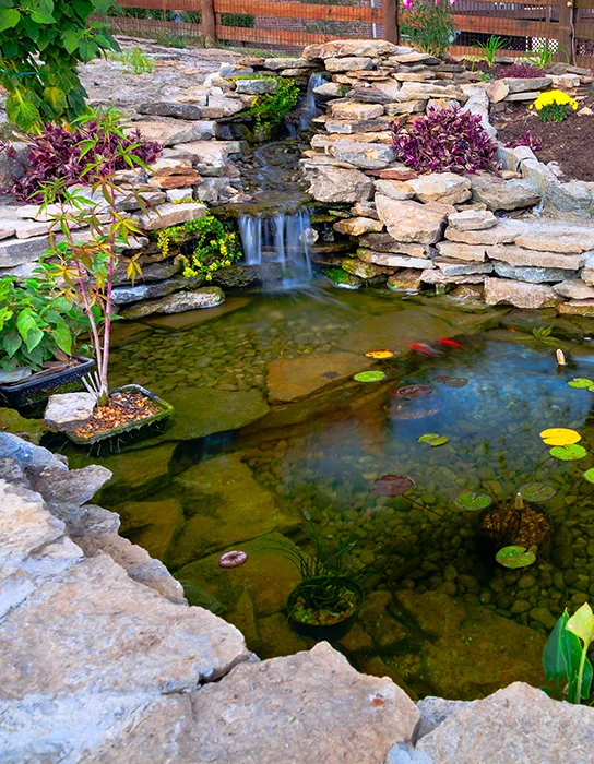 Gartenteiche Biotope Gartenbau Landschaftsbau