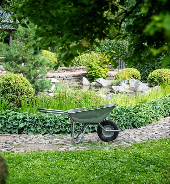 Gartengestaltung Hausgarten Bepflanzung
